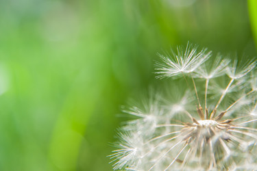 Similar image 21820638