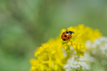 Similar image 21820644