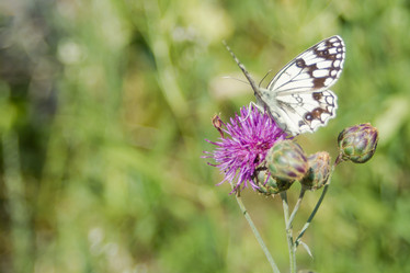 Similar image 21820645