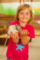 Similar image 21821801