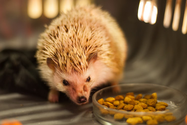 Similar image 21820647