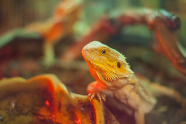 Similar image 21820651