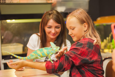 Similar image 21821804