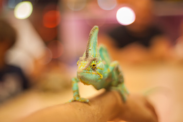 Similar image 21820652