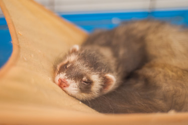 Similar image 21820653