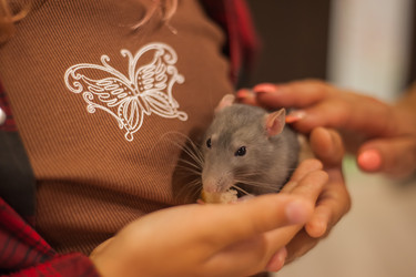 Similar image 21820654