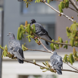 Similar image 21820200