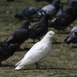 Similar image 21820201