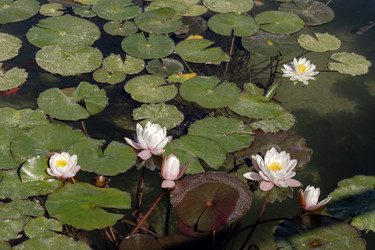 Similar image 21819897