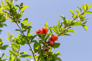 Similar image 21821549