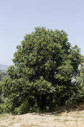 Similar image 21826181