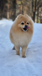 Similar image 21822669