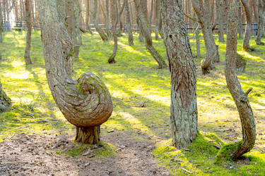 Similar image 21821848