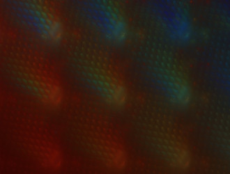 Similar image 21822300