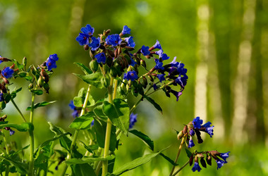 Similar image 21823590