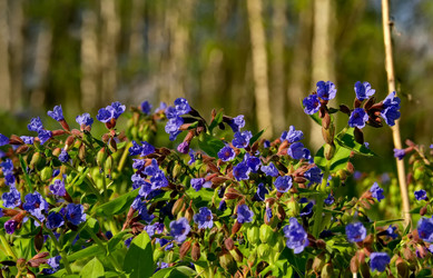 Similar image 21823591