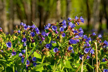 Similar image 21823592