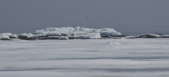 Similar image 21823594