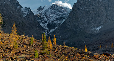 Similar image 21825474