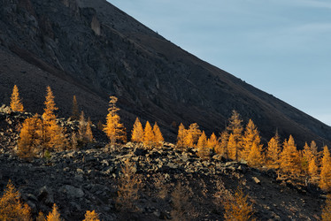 Similar image 21825475