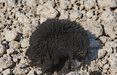 Similar image 21823602