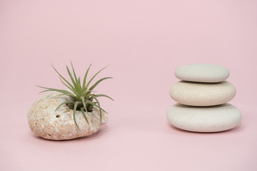 Similar image 21825784