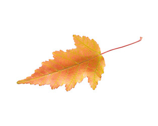 Similar image 21825786