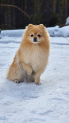 Similar image 21822674