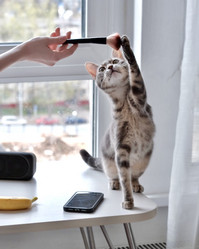 Similar image 21821566