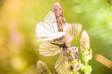 Similar image 21827514