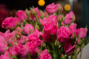 Similar image 21827516