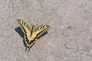 Similar image 21827521