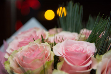 Similar image 21827522