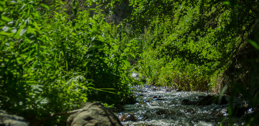 Similar image 21821943