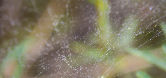 Similar image 21821945