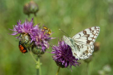 Similar image 21821946