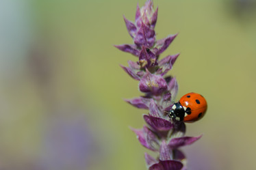 Similar image 21821948