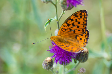 Similar image 21821952