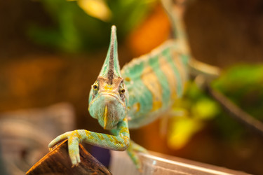 Similar image 21821957