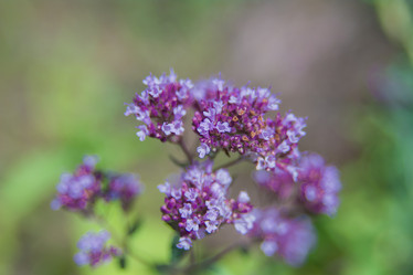 Similar image 21821961