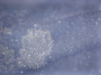 Similar image 21821970