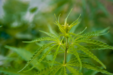 Similar image 21827537