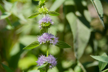 Similar image 21827541