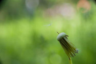 Similar image 21827543