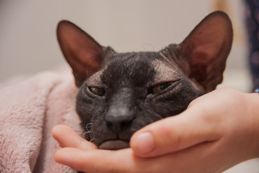 Similar image 21827545