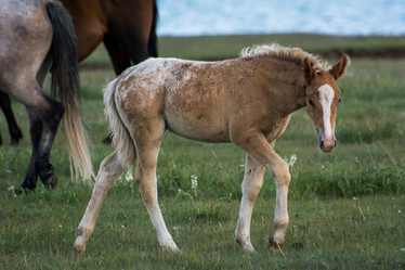 Similar image 21827546