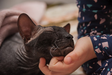 Similar image 21827548