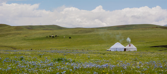 Similar image 21827553