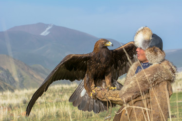 Similar image 21827554