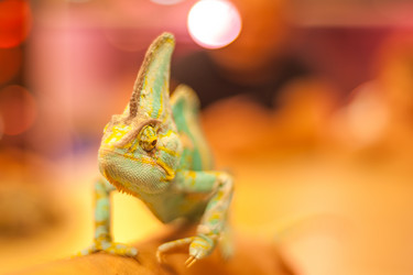 Similar image 21827560